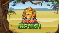 Mega Moolah (メガ・ムーラ)