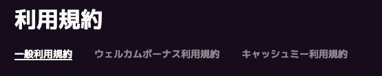 カジノミーの利用規約