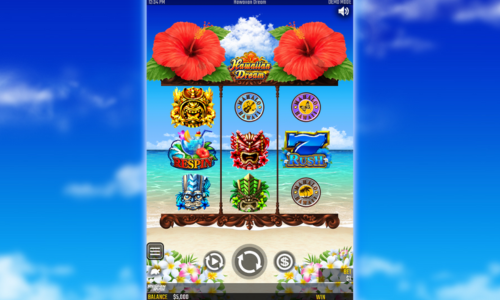 オンラインカジノ　ハワイアンドリーム　スロット