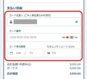 visaのカード情報入力のページ