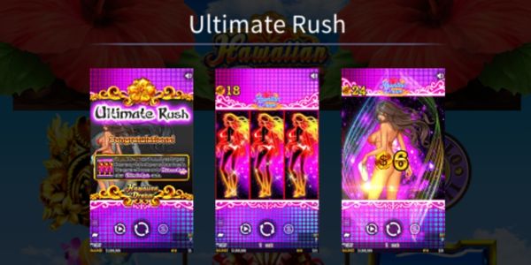 オンラインカジノスロット　ハワイアンドリーム