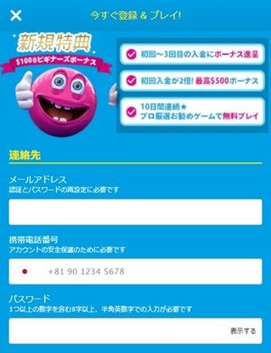ベラジョンカジノ　登録方法　個人情報入力画面