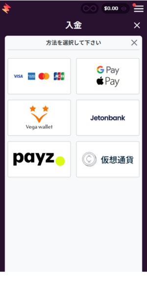 カジノミー　入金画面