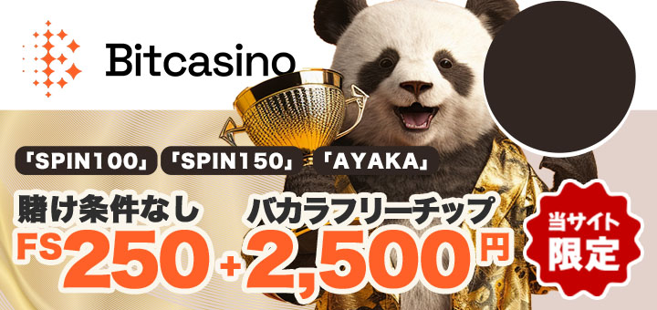 オンラインカジノ おすすめ ビットカジノ