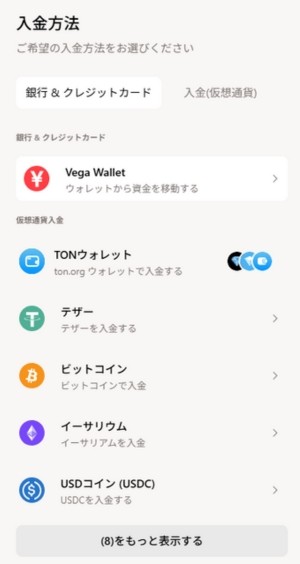 仮想通貨カジノ　入金