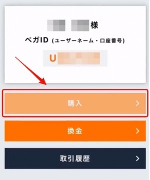 ベガウォレット 購入
